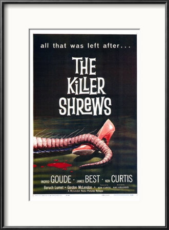 Killer Shrews, The Framed Print Killer Shrews, The Framed Print