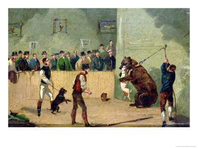 Bear Baiting Giclee Print Bear Baiting Giclee Print