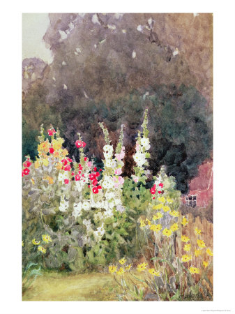 Hollyhocks Giclee Print Hollyhocks Giclee Print