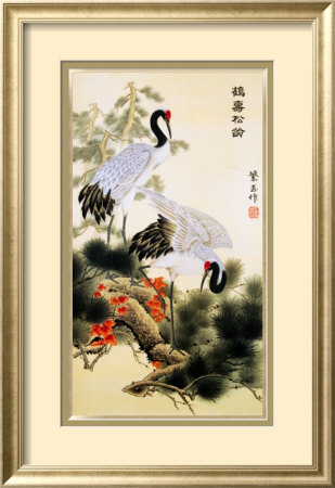 Cranes and Pine Tree Framed Print Cranes and Pine Tree Framed Print