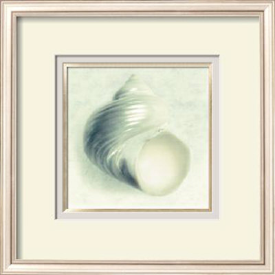 Sea Shapes IV Framed Print Sea Shapes IV Framed Print