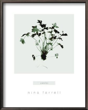 Parsley Framed Print Parsley Framed Print