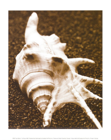 Sea Gallery I Print Sea Gallery I Print