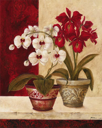 White Orchids Print White Orchids Print