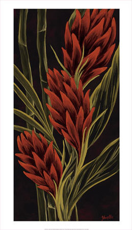 Ginger Print Ginger Print