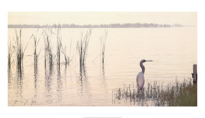 Silent Dawn Print Silent Dawn Print