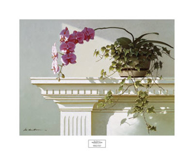 Mantlepiece Orchid Print Mantlepiece Orchid Print