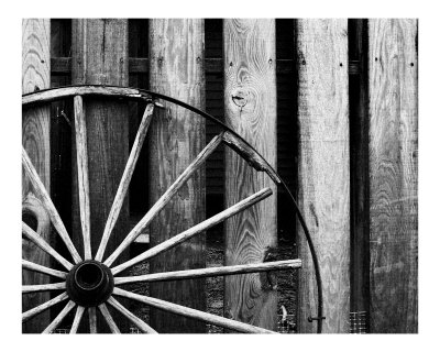 "Got Blues" Photographic Print