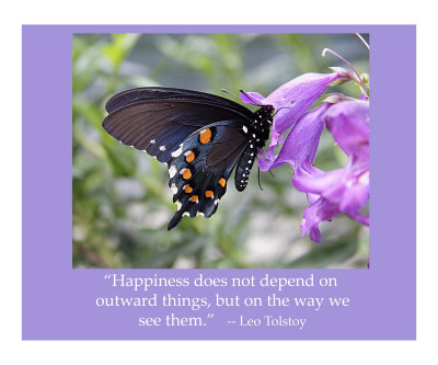 221W - Happiness Photographic Print 221W - Happiness Photographic Print