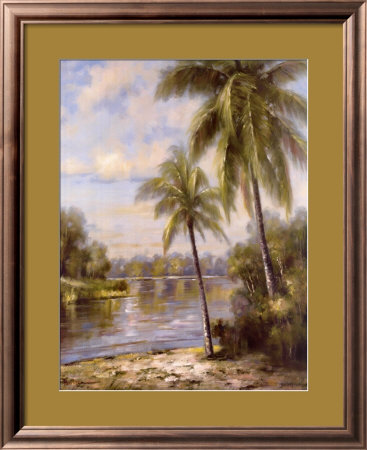 Island Tropics II Framed Print Island Tropics II Framed Print