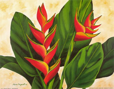 Tropical Beauty I Print Tropical Beauty I Print