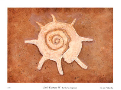 Shell Element IV Print Shell Element IV Print