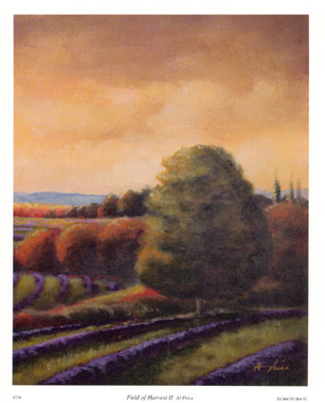 Field of Harvest II Print Field of Harvest II Print