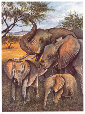 Circle of Life I Print Circle of Life I Print