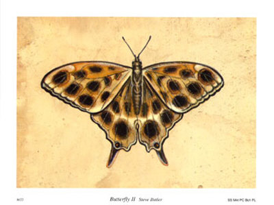 Butterfly II Print Butterfly II Print