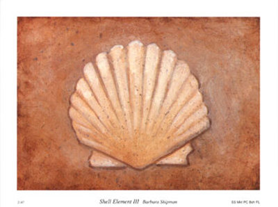 Shell Element III Print Shell Element III Print