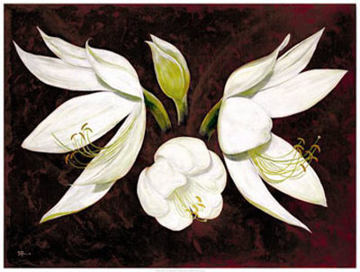 African Lily Print African Lily Print