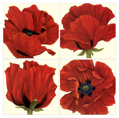 Poppy Quartet Print Poppy Quartet Print