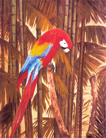 Polly Print Polly Print