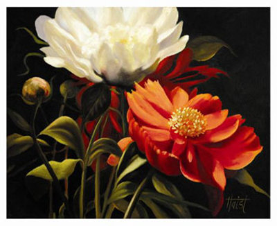 Red Peony Print Red Peony Print