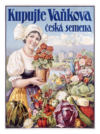 Czech Flower and Produce Festival Giclee Print Czech Flower and Produce Festival Giclee Print