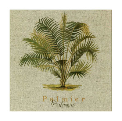 Calamus Print Calamus Print