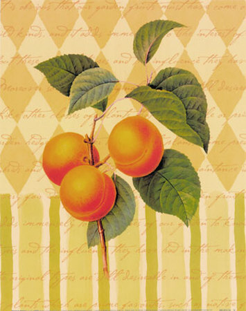 Botanical Apricot Print Botanical Apricot Print