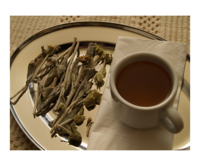 Malotira tea Photographic Print Malotira tea Photographic Print
