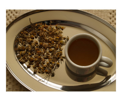 Chamomile tea Photographic Print Chamomile tea Photographic Print