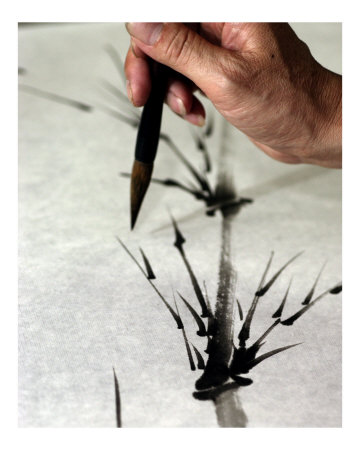 The Calligrapher Photographic Print The Calligrapher Photographic Print