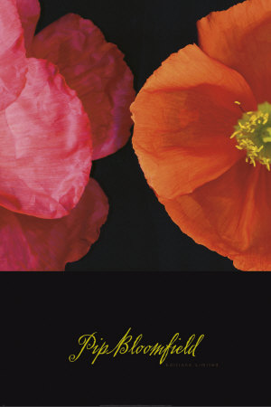 Dual Poppy Left Print Dual Poppy Left Print