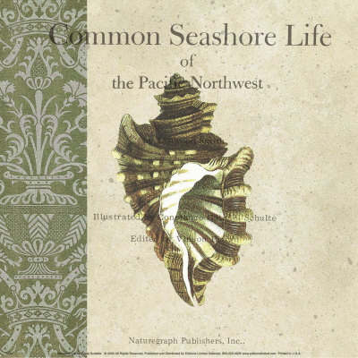 Seashore Life Print Seashore Life Print