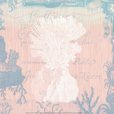 Seaside Coral II Print Seaside Coral II Print