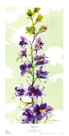 Delphinium Print Delphinium Print