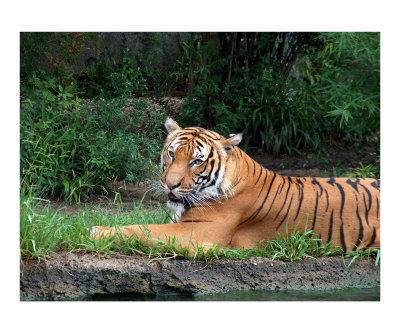 Relax Photographic Print Relax Photographic Print