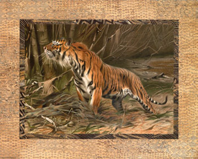 Tiger Print Tiger Print