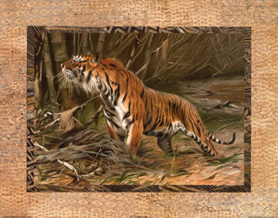 Tiger Print Tiger Print