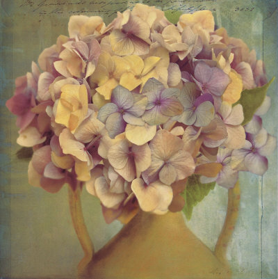 Lavender Hydrangea Print Lavender Hydrangea Print