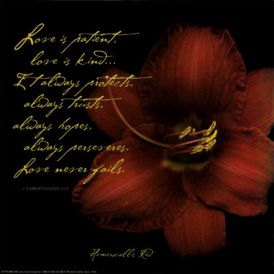 Artistic Pictures on Love Print By Patti Socci At Art Com