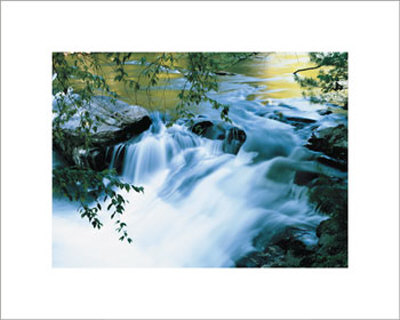 Babbling Brook Print Babbling Brook Print