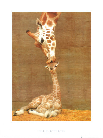 First Kiss Print First Kiss Print