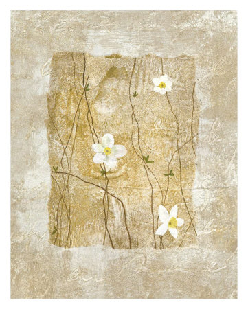 Nature's Story I Print Nature's Story I Print