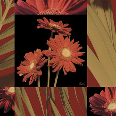 Crimson Gerberas Print Crimson Gerberas Print