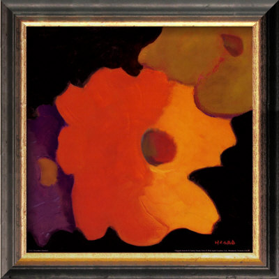 December Zinnias I Framed Print December Zinnias I Framed Print