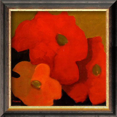 December Zinnias II Framed Print December Zinnias II Framed Print