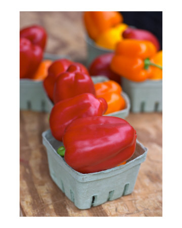 Bell Peppers - Farmer's Market Photographic Print Bell Peppers - Farmer's Market Photographic Print