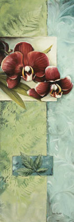 Full Orchid Duo II Print Full Orchid Duo II Print