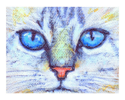 cat edwards. Calico Tabby Cat Eyes Giclee