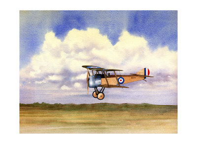 sopwith pup giclee print zoom view in room
