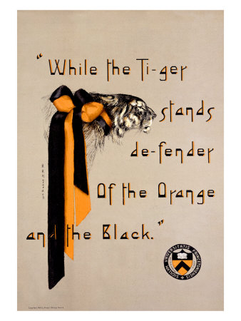 Princeton Orange and Black Tiger Giclee Print Princeton Orange and Black Tiger Giclee Print
